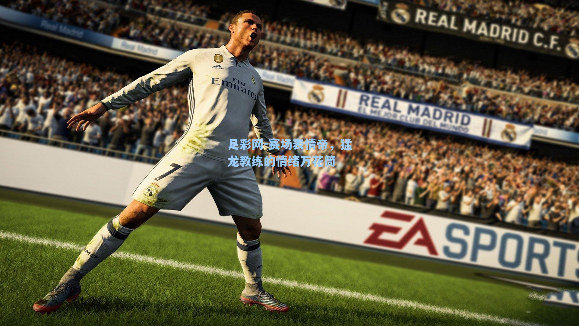 足彩网-赛场表情帝，猛龙教练的情绪万花筒