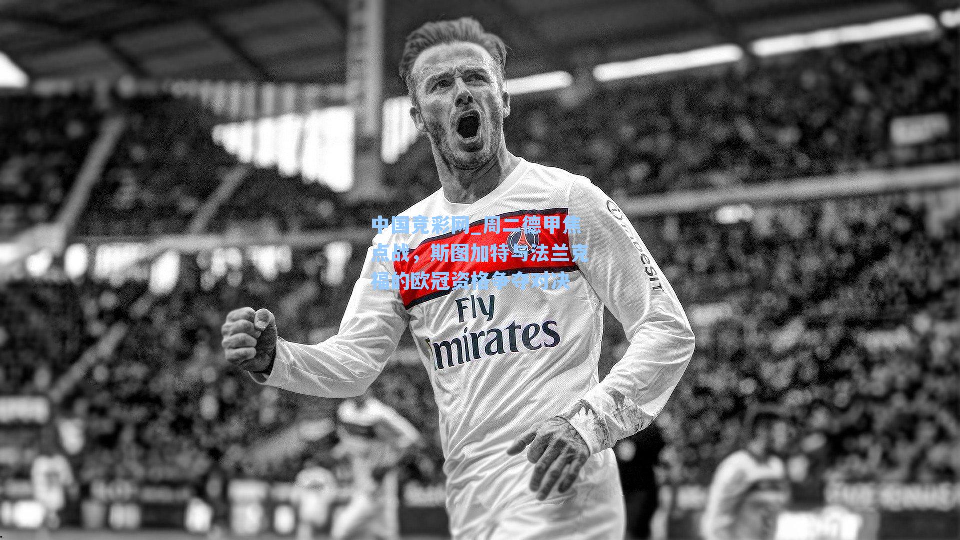 周二德甲焦点战,斯图加特与法兰克福的欧冠资格争夺对决